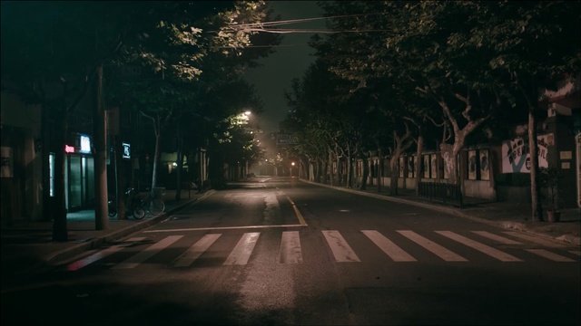 Video Reference: road, night, lane, street light, infrastructure, tree, darkness, sky, street, light