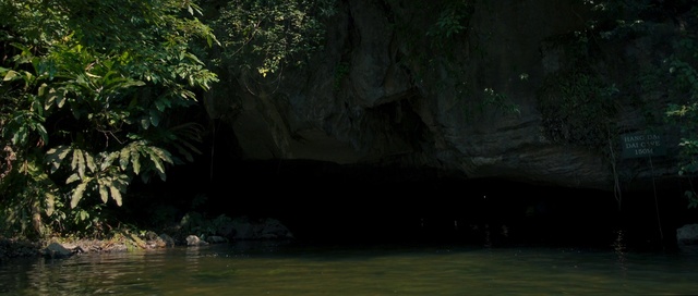 Video Reference: Nature, Water, Vegetation, Natural environment, Jungle, Nature reserve, Natural landscape, Watercourse, Bayou, Tree