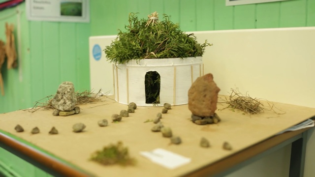 Video Reference: scale model, houseplant, plant, tree