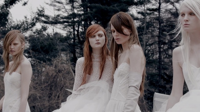 Video Reference: Hair, Photograph, Dress, Gown, Wedding dress, Bride, Bridal clothing, Beauty, Hairstyle, Lady, Person