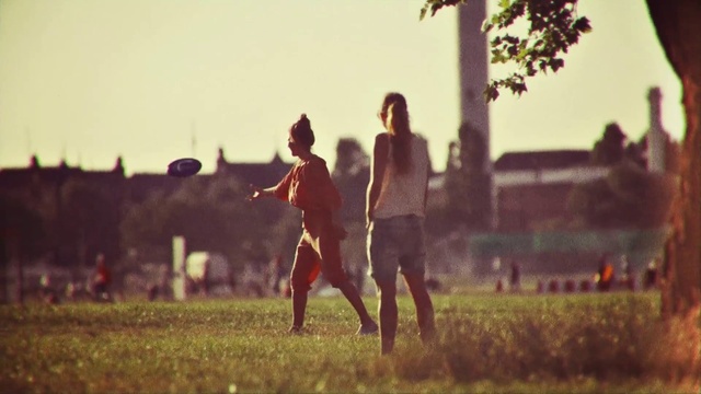 Video Reference: People in nature, Sky, Grass, Fun, Tree, Happy, Sunlight, Summer, Photography, Person, Outdoor, Field, Standing, Man, Front, Playing, Watching, Frisbee, Woman, Game, Riding, Green, Walking, Throwing, Horse, Large, Young, Dog, Red, Jumping, Group, People, Flying, Clothing