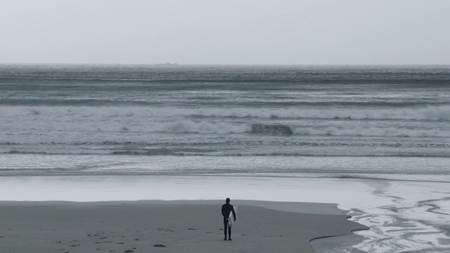 Video Reference: Sea, Wave, Ocean, Beach, Wind wave, Shore, Coast, Horizon, Standing, Water, Person