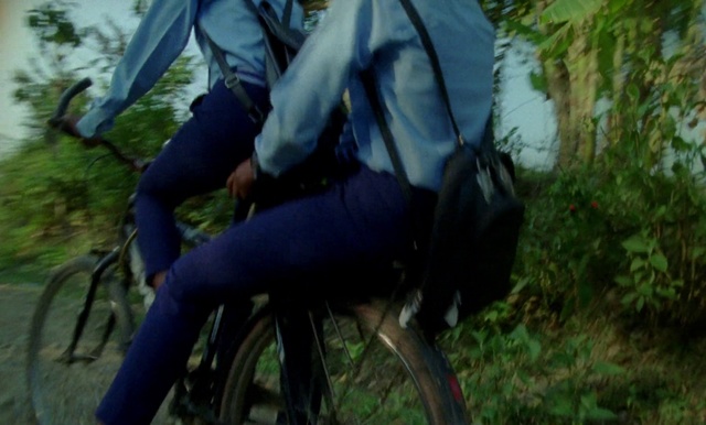 Video Reference: Nature, Bicycle, Vehicle, Tree, Cycling, Mountain bike, Bicycle wheel, Recreation, Photography, Grass