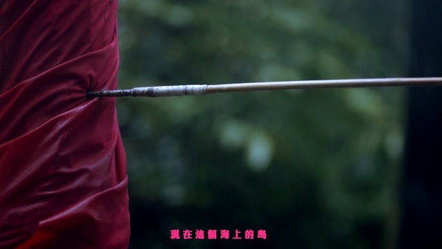 Video Reference: red, darkness, grass, sky