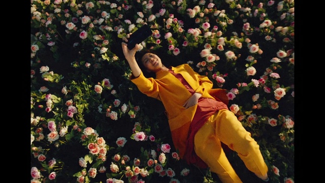 Video Reference: Spring, Flower, Yellow, Plant, Petal, Happy, Tree, Blossom, Photography, Rose family