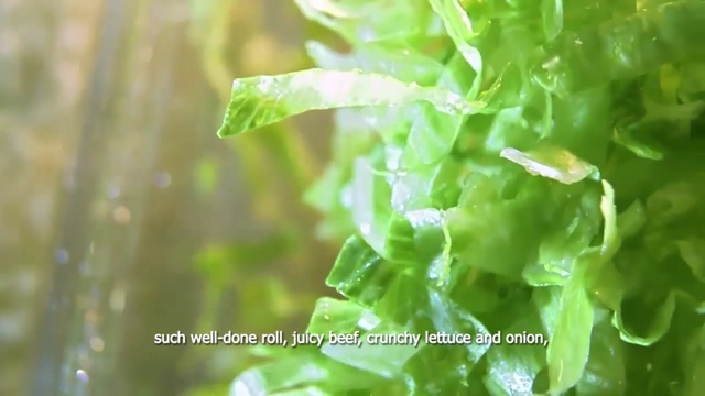 Video Reference: Leaf, Green, Plant, Leaf vegetable, Flower, Chard, Vegetable, Lettuce