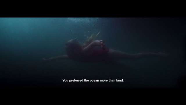 Video Reference: Underwater, Marine biology, Organism, Sea, Screenshot