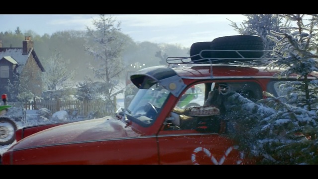 Video Reference: car, motor vehicle, vehicle, mode of transport, snow, tree, automotive exterior, windshield, window, automotive window part, Person