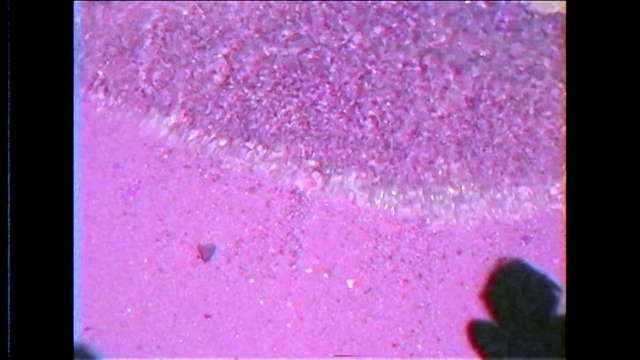 Video Reference: blue, violet, pink, red, purple, glitter, magenta, atmosphere, sky, organism