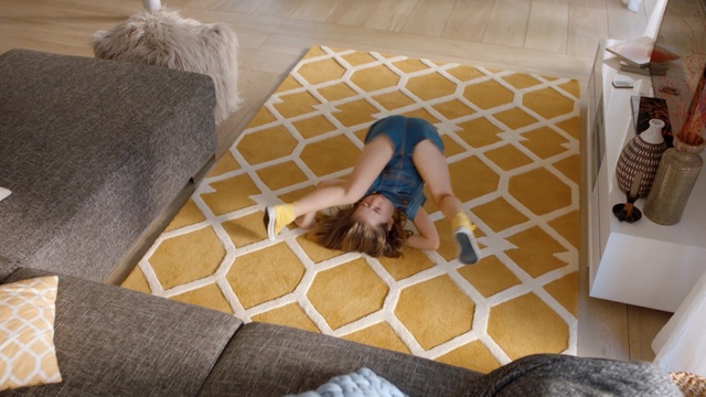 Video Reference: Room, Canidae, Comfort, Furniture, Fawn