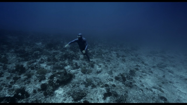 Video Reference: underwater, atmosphere, underwater diving, sea, freediving, water, sky, marine biology, screenshot, reef