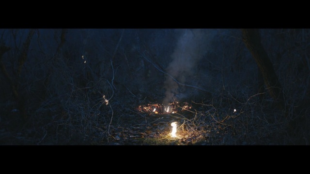 Video Reference: spider web, web, trap, cobweb, spider, black, night