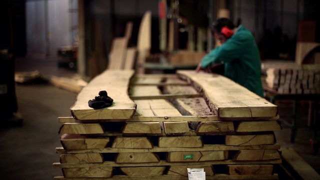 Video Reference: Wood, Person