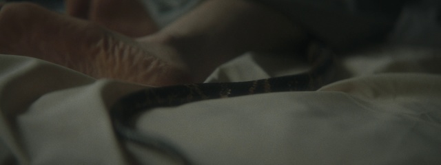 Video Reference: White, Close-up, Brown, Joint, Footwear, Photography, Leg, Textile, Personal protective equipment, Hand