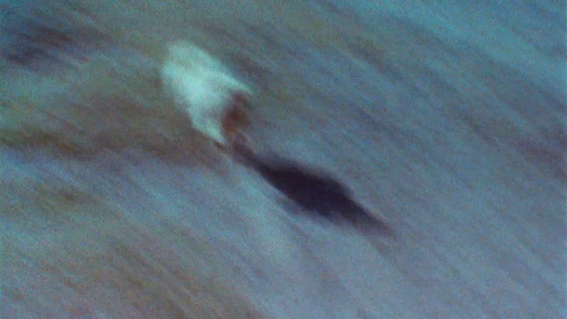 Video Reference: Hand, Wood, Flooring