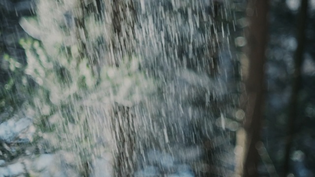 Video Reference: Nature, Tree, Natural environment, Green, Forest, Trunk, Woodland, Water, Leaf, Woody plant