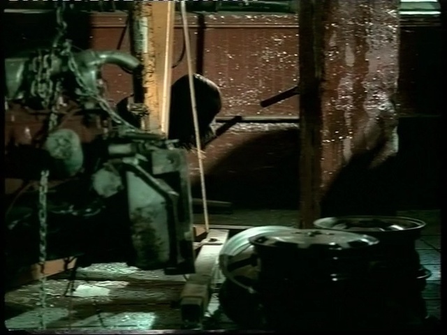 Video Reference: green, darkness, window, jungle, midnight, square, screenshot, film, glass, pc game