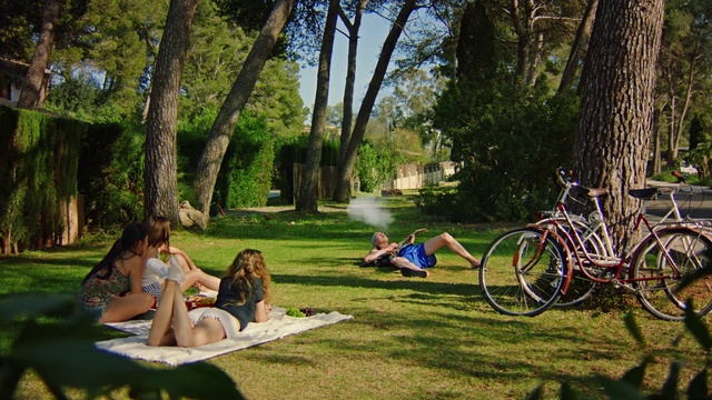 Video Reference: People in nature, Tree, Grass, Leisure, Spring, Botany, Recreation, Woody plant, Picnic, Lawn