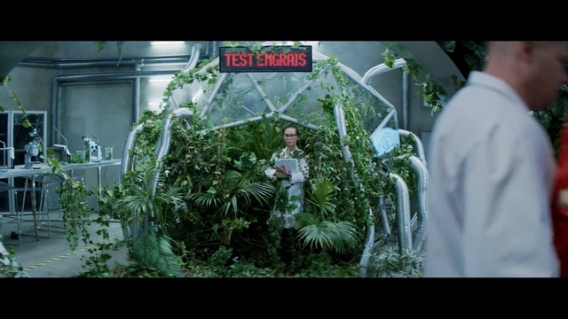 Video Reference: Green, Plant, Leaf, Biome, Greenhouse, Tree, Shrub, Botany, Houseplant, Garden