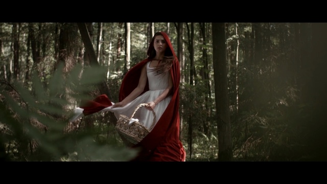 Video Reference: cloak, covering, groom, robe, Person