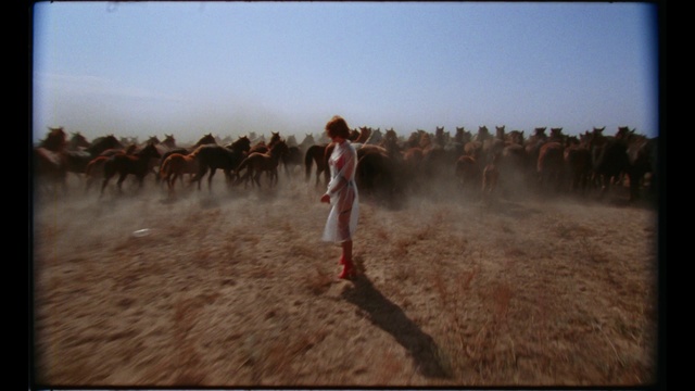 Video Reference: Camel, Ecoregion, Landscape, Adaptation, Steppe, Herd, Camelid, Desert, Screenshot