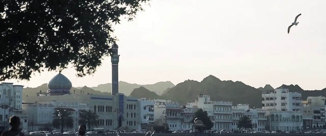 Video Reference: Atmospheric phenomenon, Sky, Town, City, Urban area, Tree, Residential area, Metropolitan area, Photography, Hill