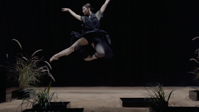 Video Reference: performing arts, dancer, performance, entertainment, performance art, modern dance, event, concert dance, choreography, stage