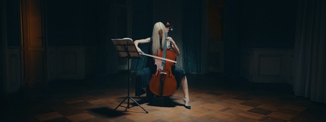 Video Reference: string instrument, musical instrument, string instrument, cello, bowed string instrument, double bass, violin family, cellist, darkness, performance art