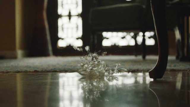 Video Reference: Water, Reflection, Black-and-white, Window, Glass, Tree, Floor, Photography, Architecture, Plant