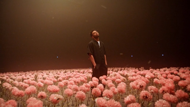 Video Reference: Pink, Performance, Plant, Audience, Event, Flower