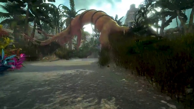Video Reference: Nature, Vegetation, Jungle, Tree, Natural environment, Biome, Sunlight, Forest, Landscape, Screenshot