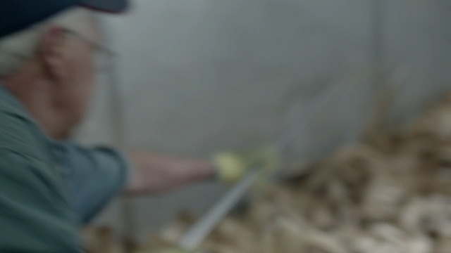 Video Reference: Nose, Floor, Flooring, Wood, Photography, Soil, Person
