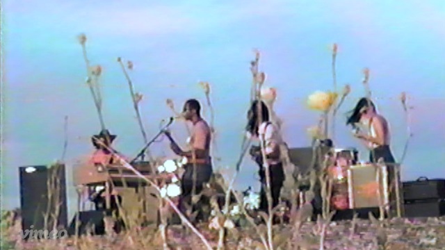 Video Reference: plant, recreation, tree, sky