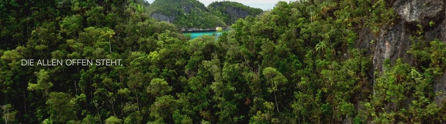 Video Reference: Vegetation, Nature reserve, Nature, Hill station, Natural landscape, Tropical and subtropical coniferous forests, Natural environment, Forest, Biome, Jungle