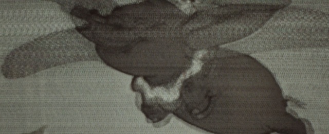 Video Reference: Drawing, Textile, Pattern, Portrait, Sketch, Still life, Illustration