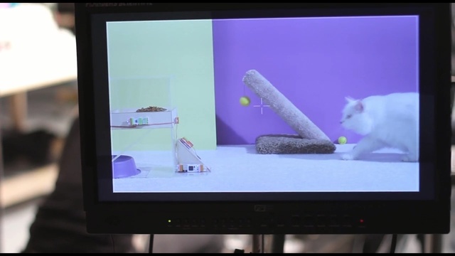 Video Reference: Screen, Display device, Technology, Electronic device, Television, Media, Lcd tv, Television set, Cat, Computer monitor