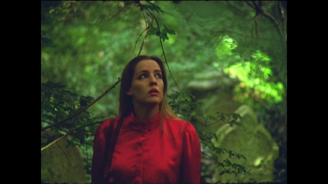 Video Reference: green, nature, ecosystem, tree, lady, forest, sunlight, screenshot, jungle, girl, Person
