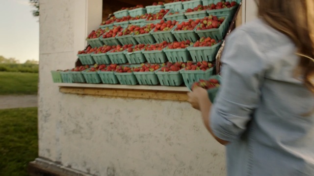 Video Reference: grass, material, roof, bricklayer