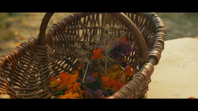 Video Reference: organism, screenshot