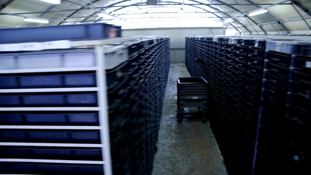 Video Reference: Architecture, Metal, Daylighting, Steel, Building