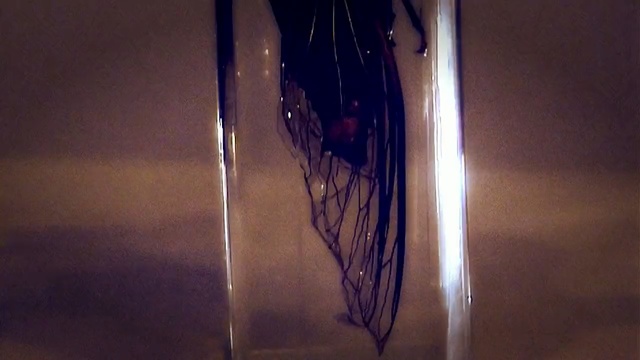 Video Reference: light, darkness, heat, glass