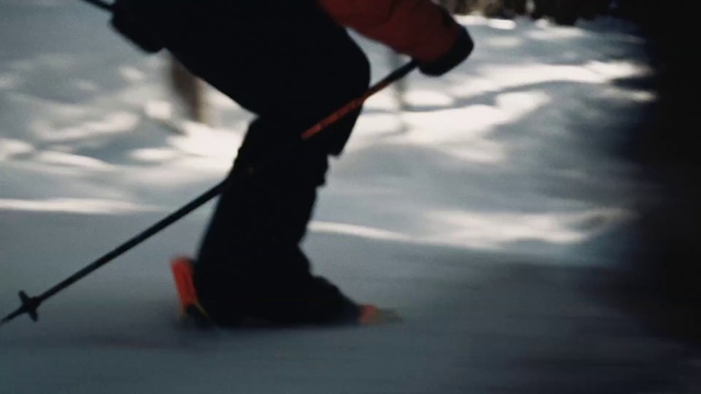 Video Reference: Snow, Recreation, Ski, Snowshoe, Sports, Ski Equipment, Winter, Sports equipment, Ice, Individual sports