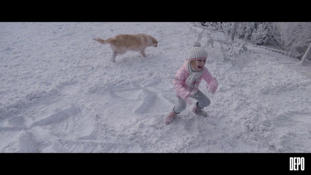 Video Reference: Snow, Canidae, Winter, Fun, Sporting Group, Freezing, Geological phenomenon, Retriever, Carnivore, Screenshot