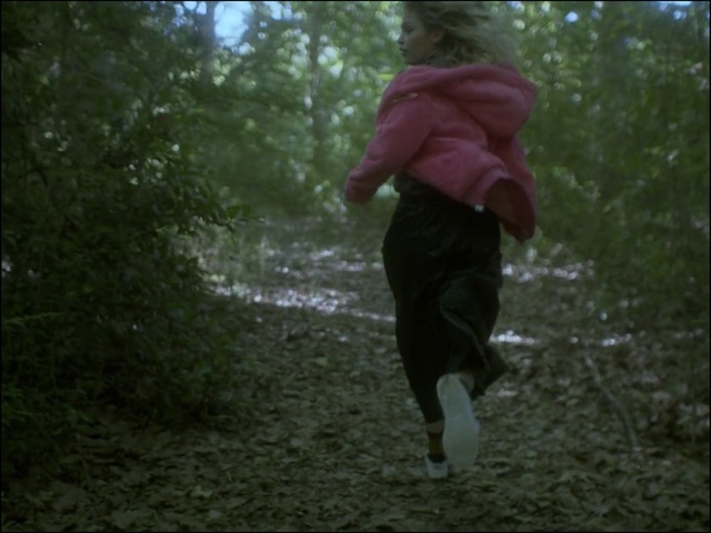 Video Reference: Nature, Natural environment, Forest, Woodland, Tree, Leaf, Recreation, Fun, Walking, Photography, Person