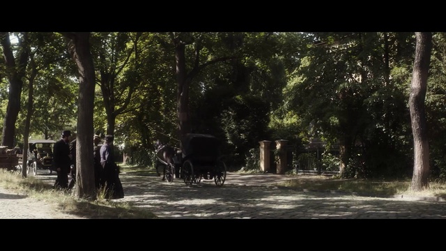 Video Reference: Nature, Tree, Woodland, Natural environment, Forest, Natural landscape, Biome, Sunlight, Wildlife, Woody plant, Person, Outdoor, Walking, Street, Man, People, Water, Group, Area, Standing, Trail, River, Horse, Riding, Covered, Field, Snow, Wheel, Land vehicle, Wooded