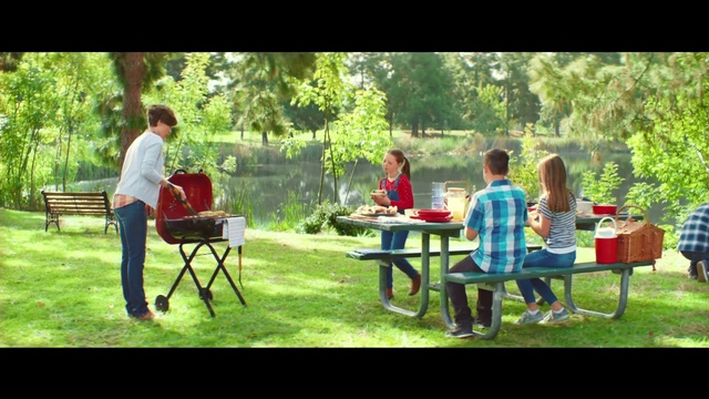 Video Reference: Nature, Table, Outdoor table, Leisure, Picnic, Recreation, Community, Furniture, Picnic table, Sharing, Person