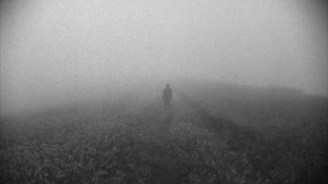 Video Reference: sky, landscape