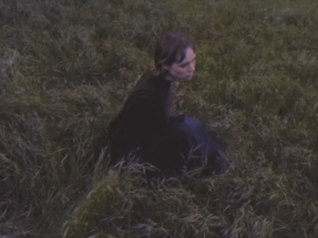 Video Reference: black, grass, ecosystem, grass family, geological phenomenon, darkness, hay, tree, plant, ecoregion, Person