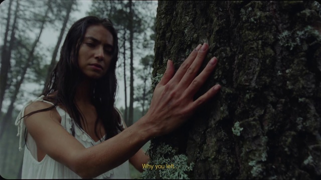 Video Reference: Skin, Lip, People in nature, Flash photography, Branch, Wood, Gesture, Trunk, Sunlight, Grass