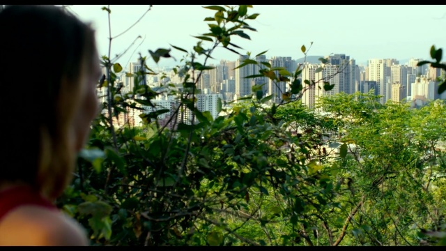 Video Reference: Nature, Vegetation, Urban area, Leaf, Human settlement, Metropolitan area, City, Tree, Plant, Biome